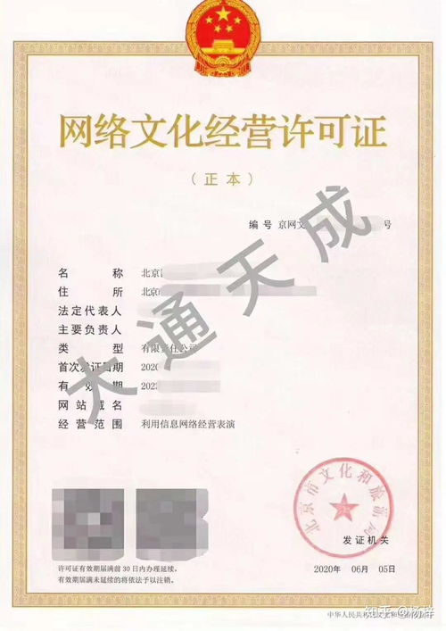 無證經(jīng)營網(wǎng)絡文化 企業(yè)面臨的嚴峻后果與風險